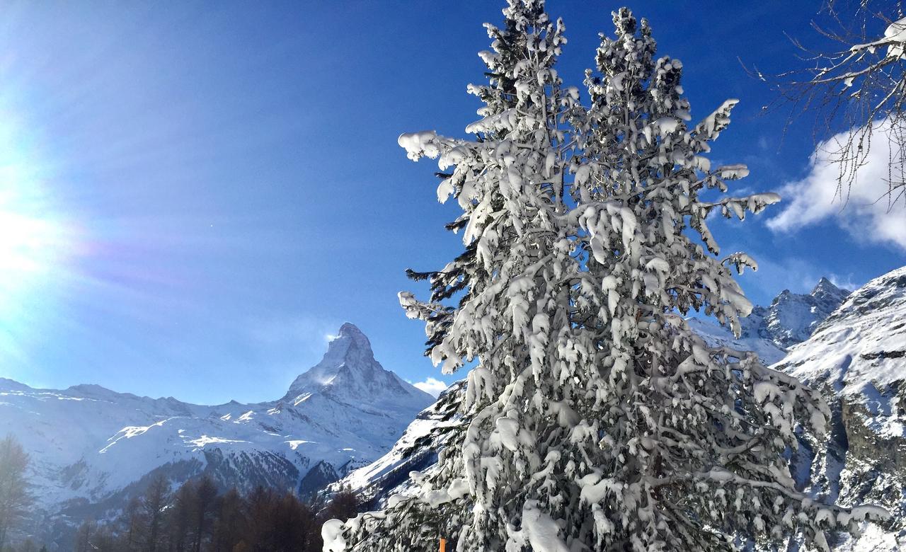 Sonnmatt Lägenhet Zermatt Exteriör bild
